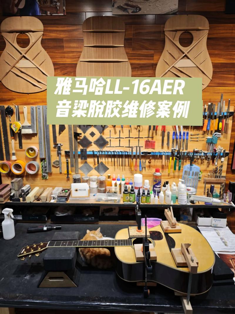 音乐之路：小提琴培训行业动态